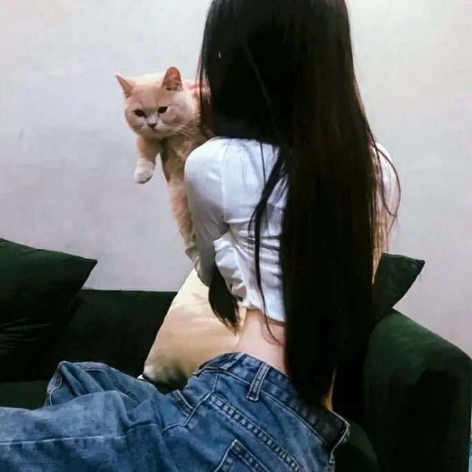 正宗哥吉拉