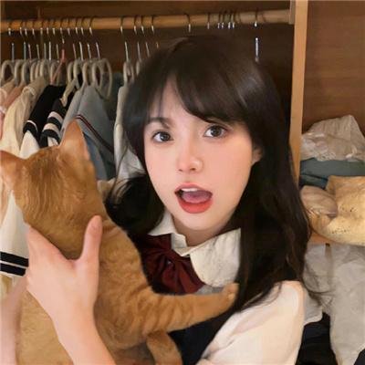 加菲猫和他的朋友们第七季